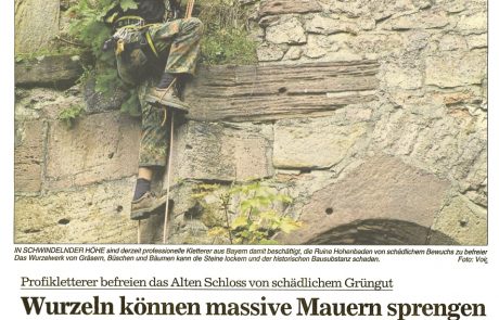 Bericht über Einsatz zur Grüngut-Beseitigung an altem Gemäuer (Baden-Baden)